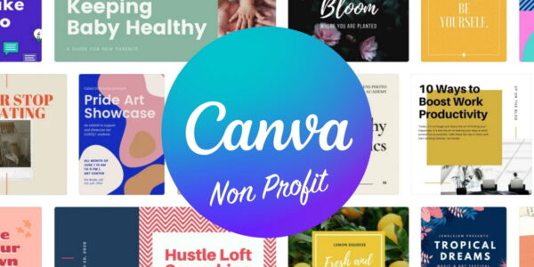 canva non profit connectance
